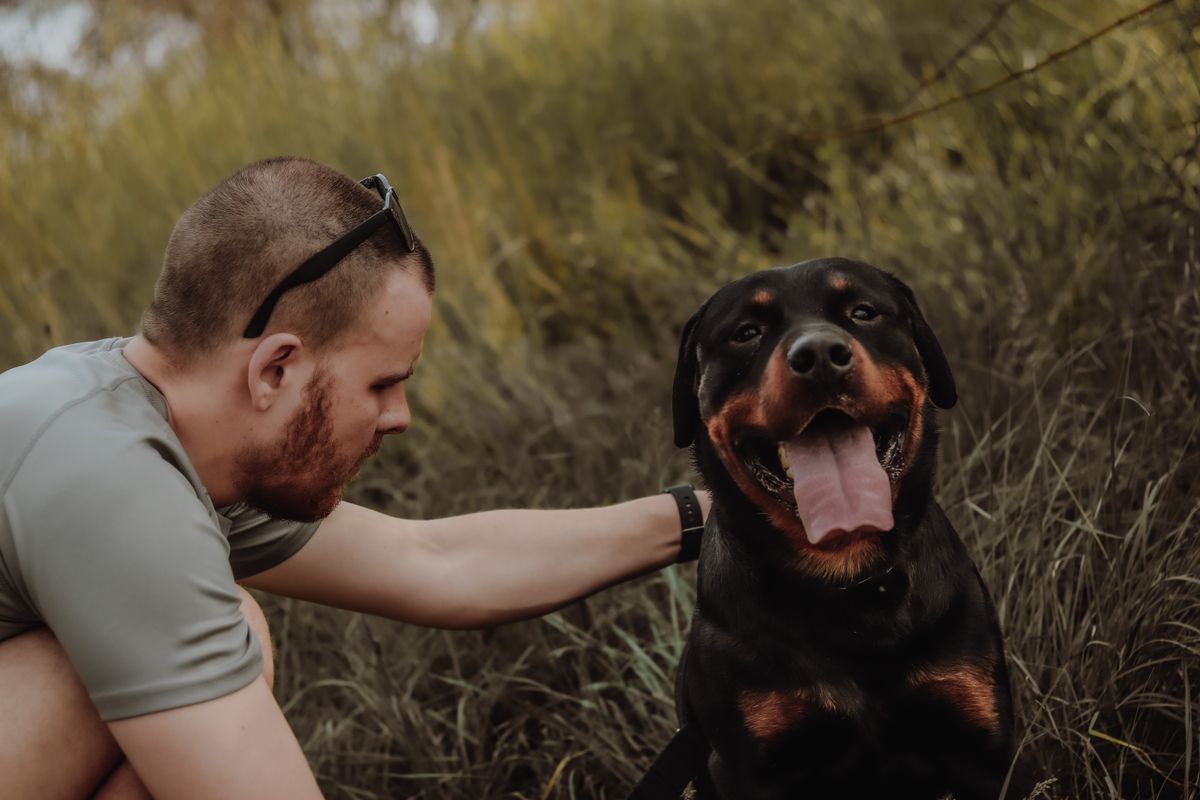 Pet insurance context